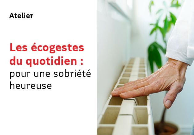 Les écogestes du quotidien : pour une sobriété heureuse
