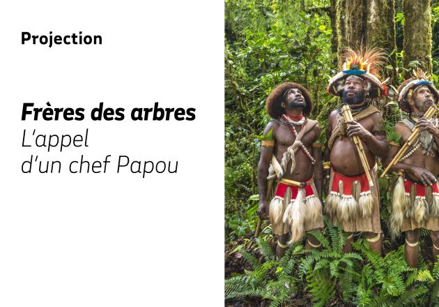 Frères des arbres, l’appel d’un chef Papou