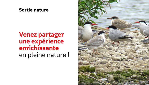 Venez partager une expérience enrichissante en pleine nature !