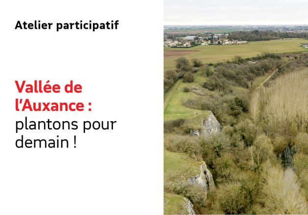 Vallée de l’Auxance : plantons pour demain !
