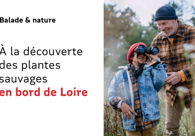 À la découverte des plantes sauvages en bord de Loire