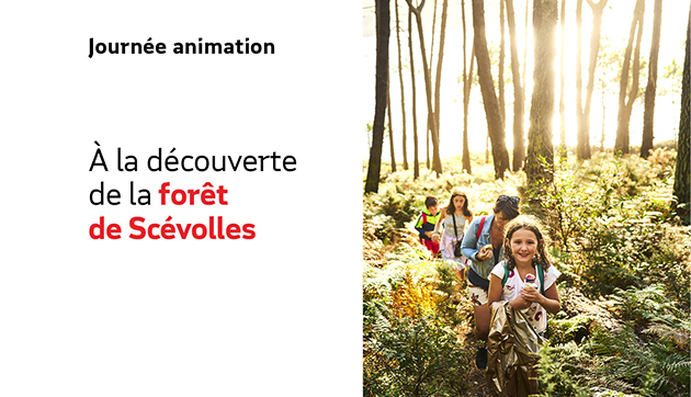 Balade forestière