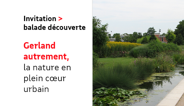 Gerland autrement, la nature en plein coeur urbain