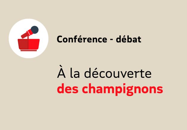 A la découverte des champignons