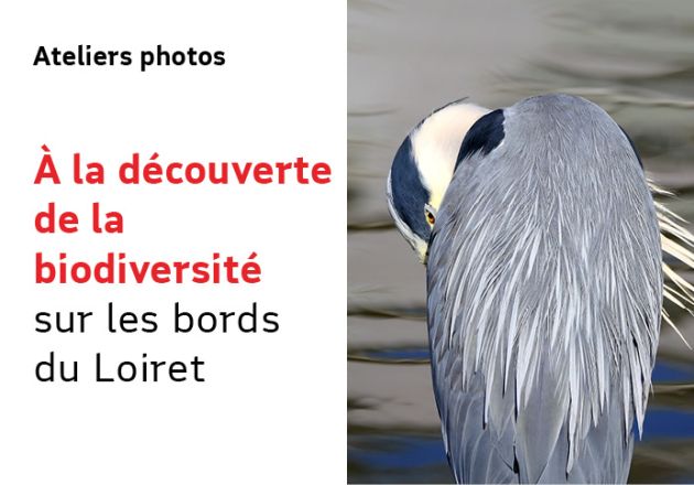A la découverte de la biodiversité sur les bords du Loiret