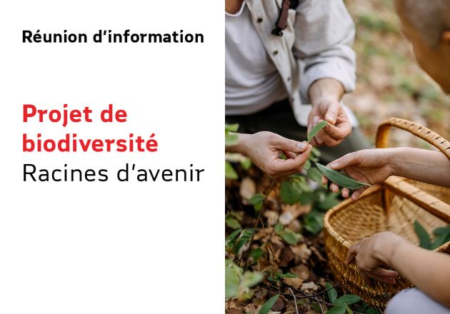 Projet de biodiversité : Racines d’avenir