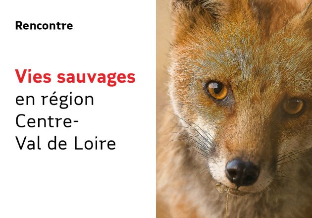 Vies sauvages en Centre-Val de Loire