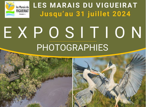 Expo MAIF Avignon de mai à juillet 2024